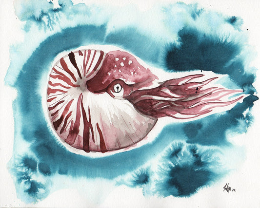Original Kunstwerk "Nautilus"