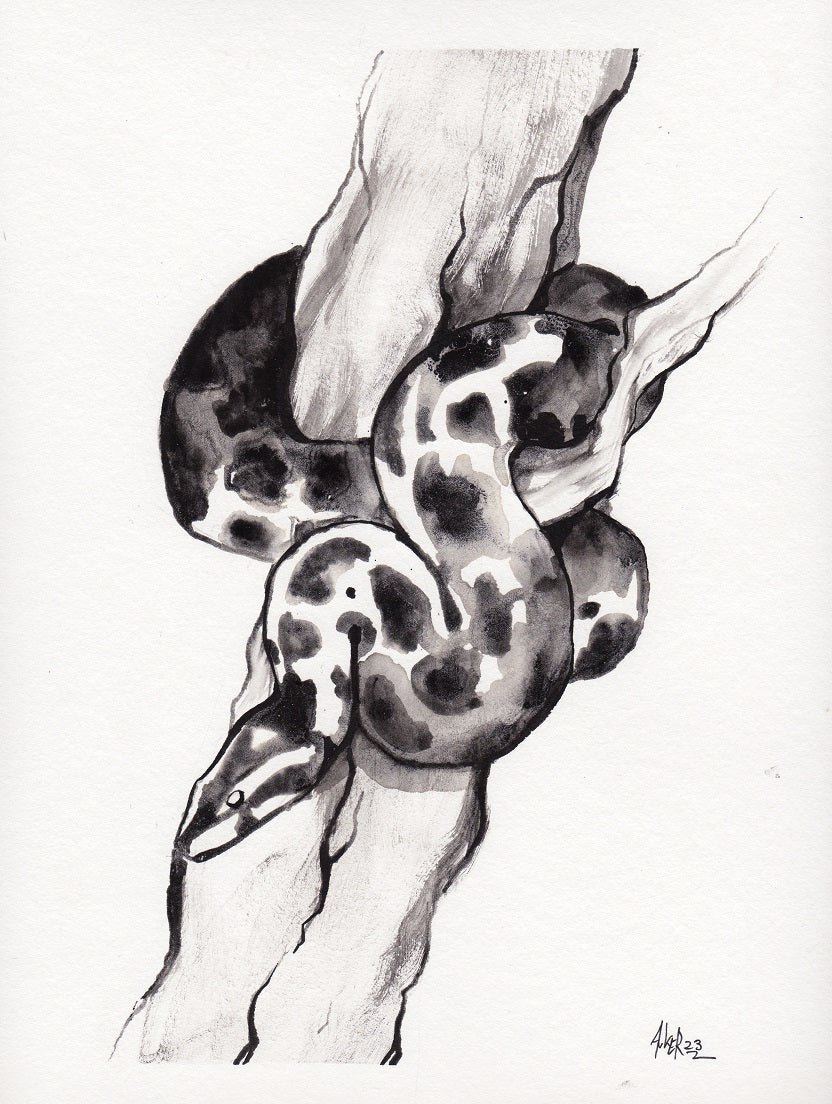 Original Kunstwerk "Python"