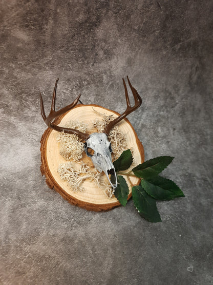 Mini deer skull wall decoration