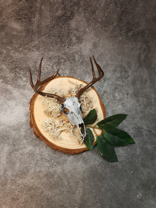 Mini deer skull wall decoration