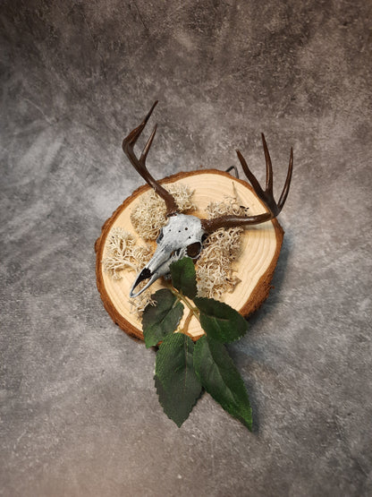 Mini deer skull wall decoration