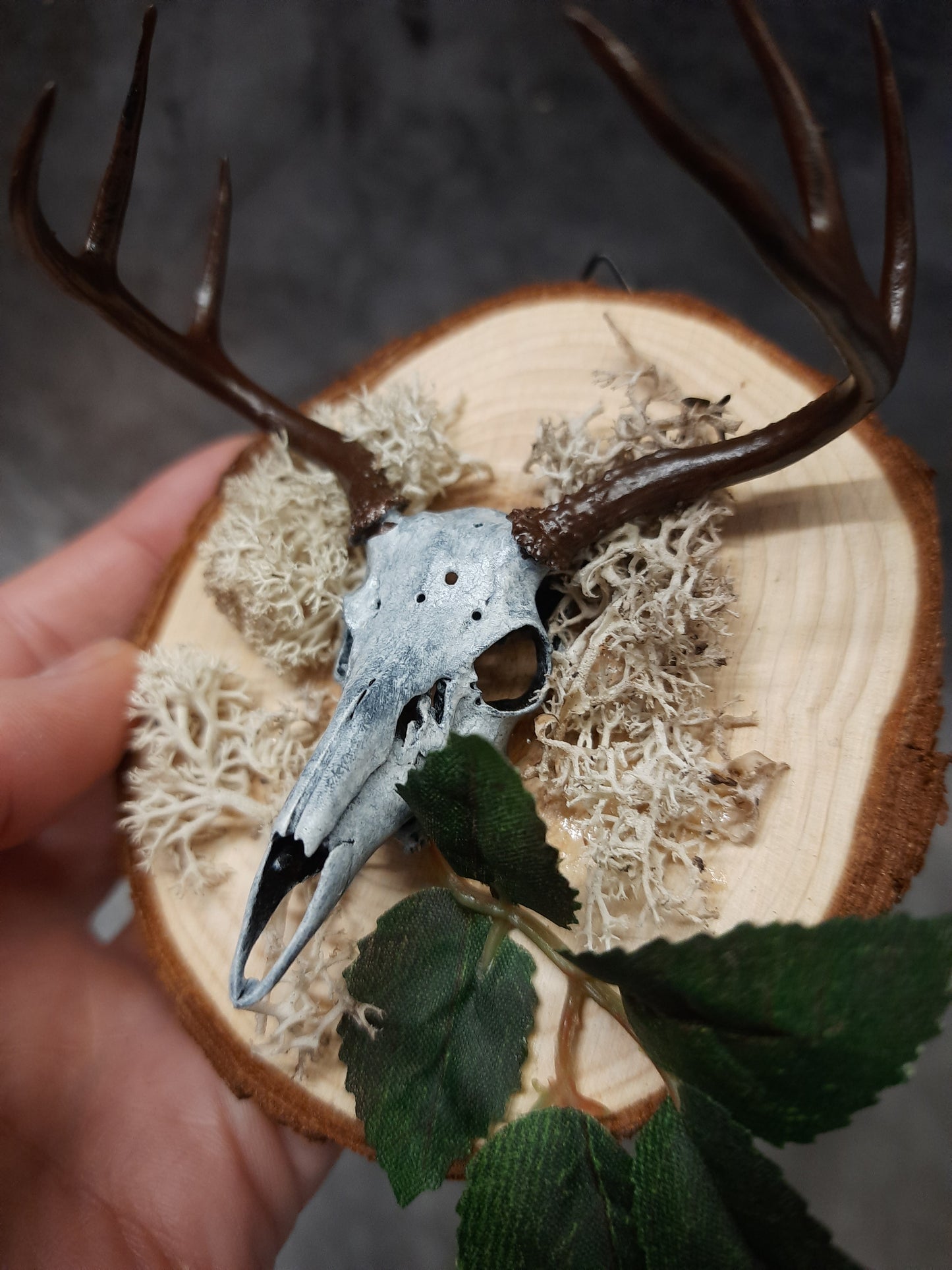 Mini deer skull wall decoration