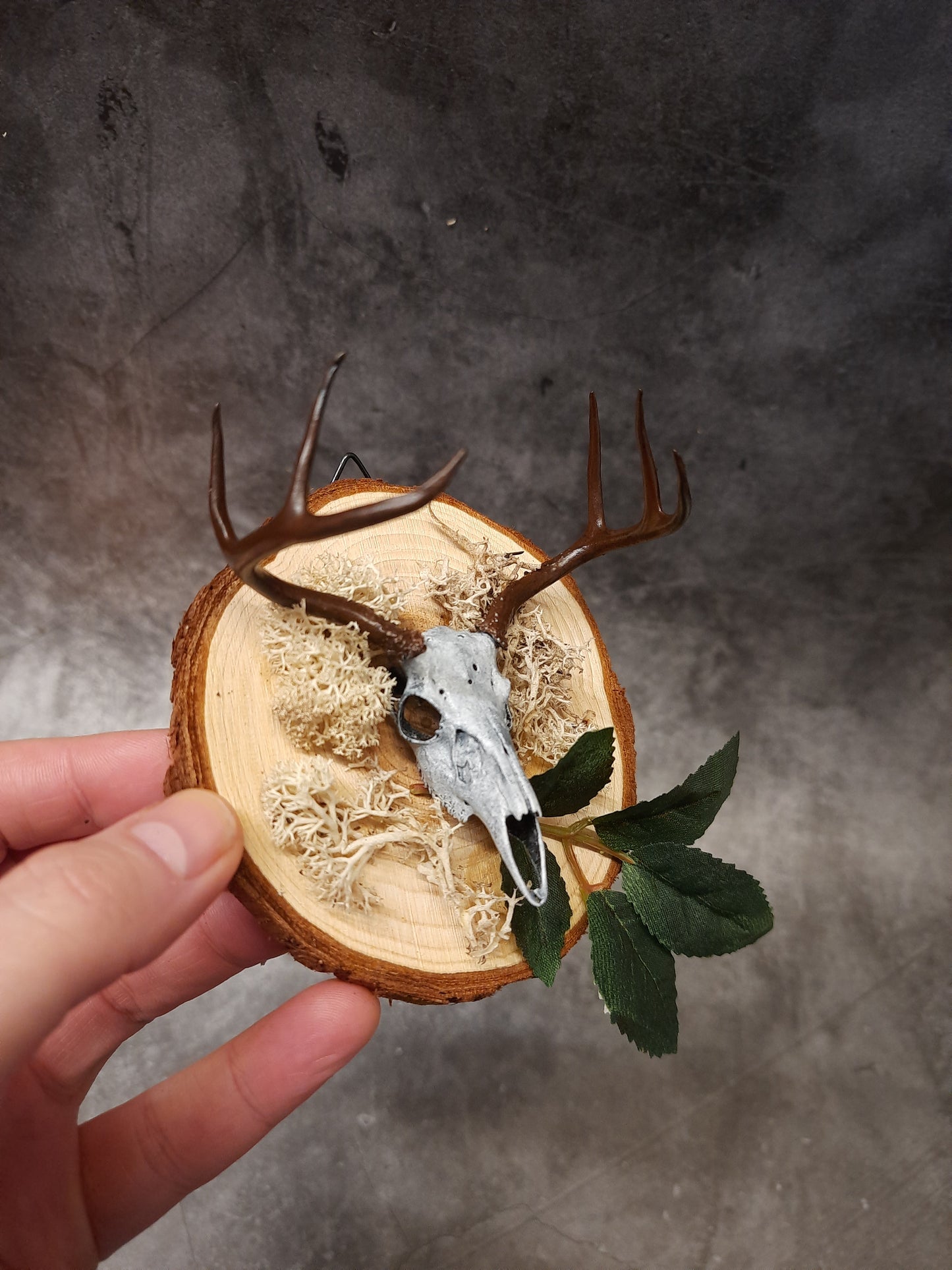 Mini deer skull wall decoration