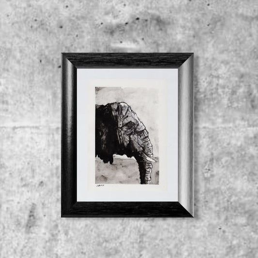 Eine Tuschezeichnung von einem Elefantenkopf in Seitenansicht mit schwarzem Bilderrahmen