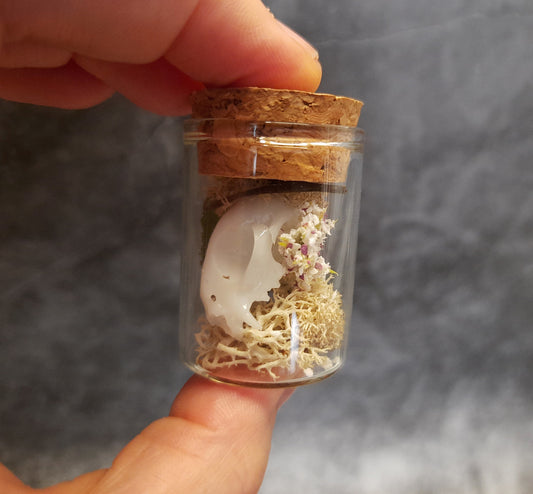 Mini cat skull in a glass with moss, artificial flowers