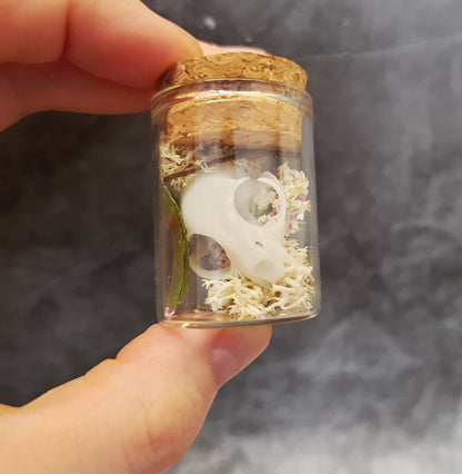 Mini cat skull in a glass with moss, artificial flowers