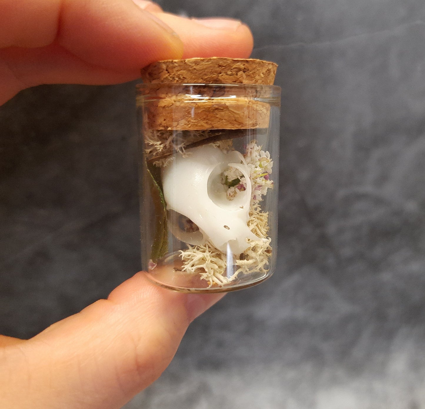 Mini cat skull in a glass with moss, artificial flowers