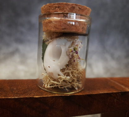 Mini cat skull in a glass with moss, artificial flowers