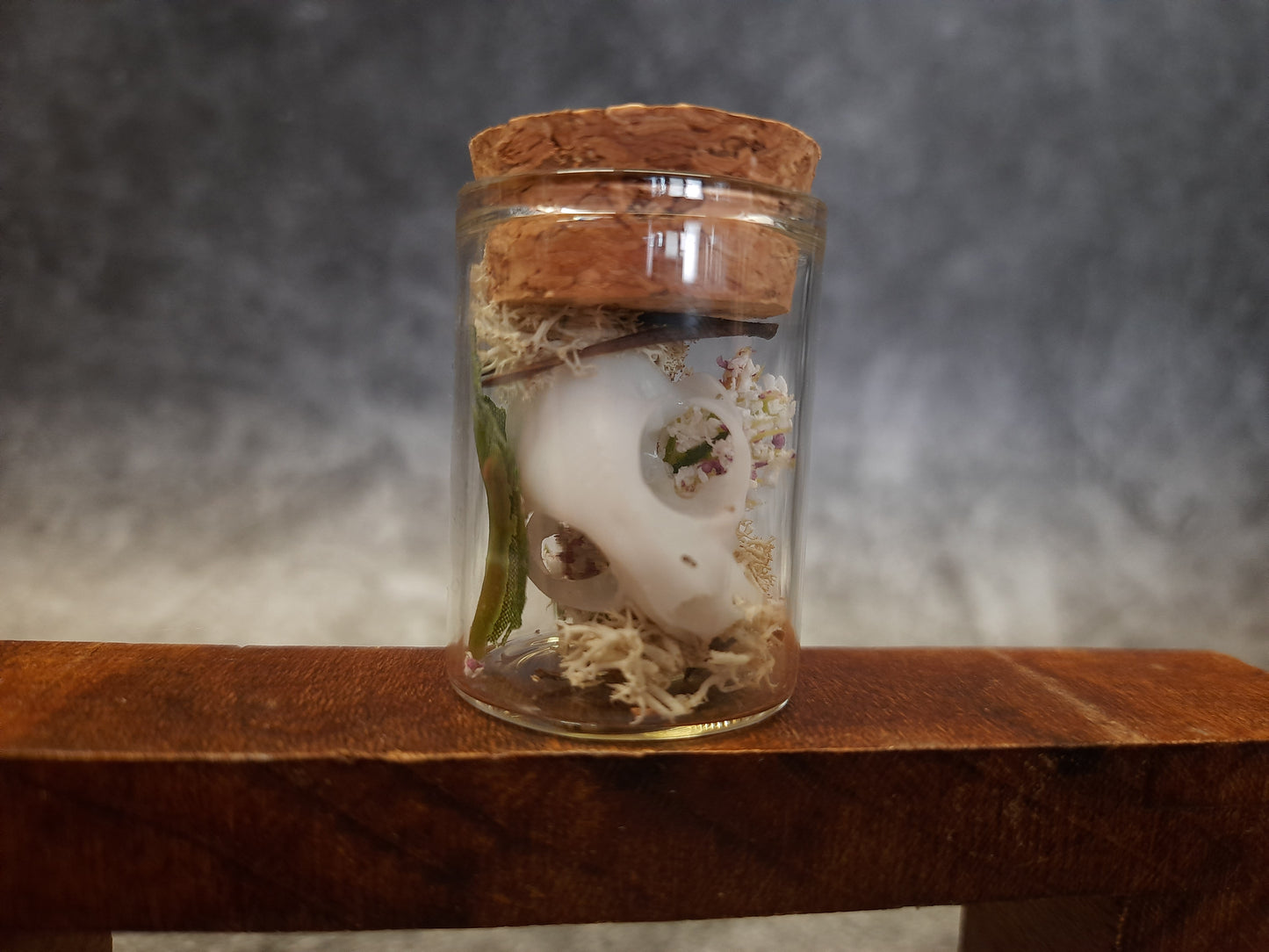 Mini cat skull in a glass with moss, artificial flowers