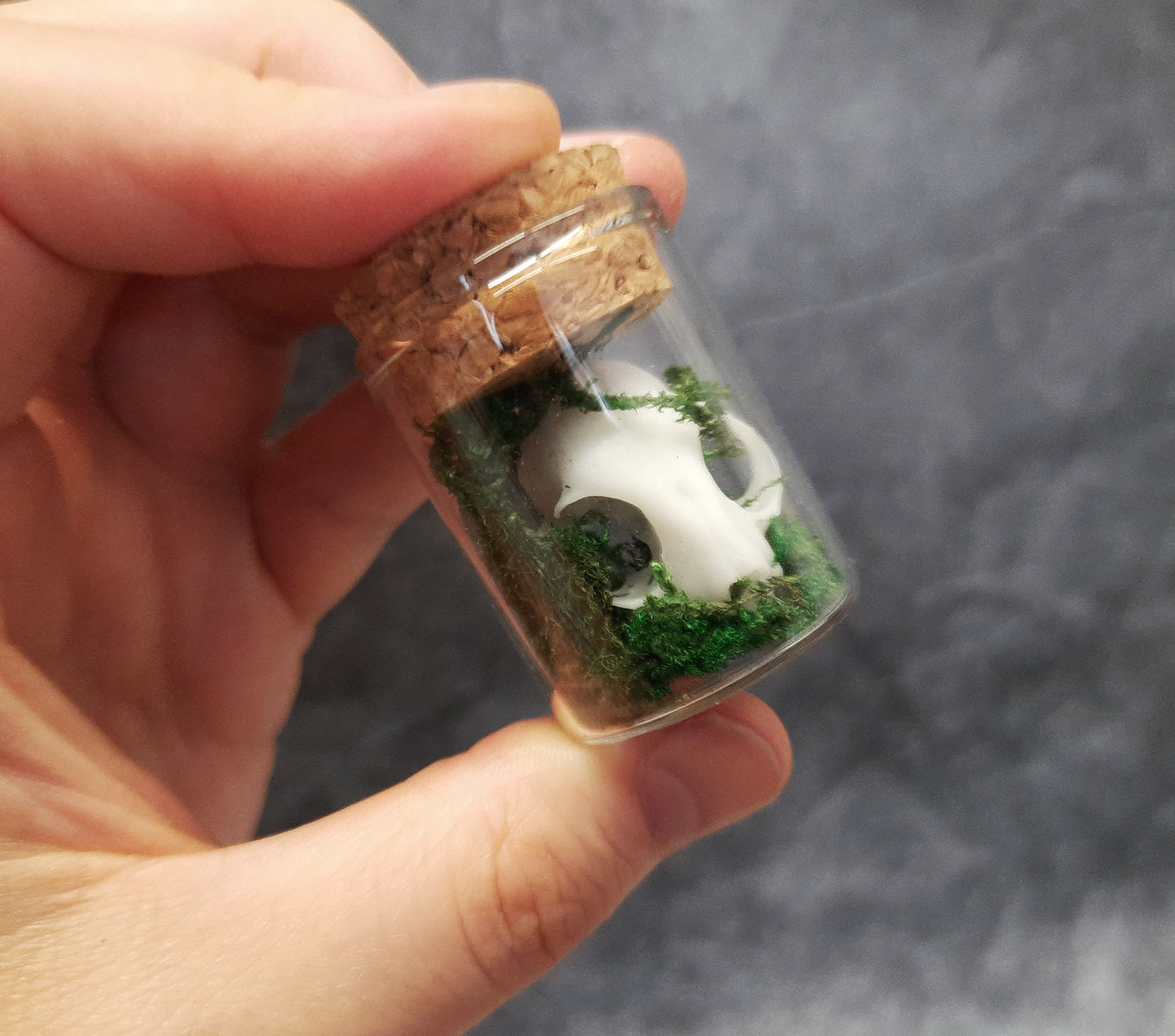 Mini cat skull in glass with moss