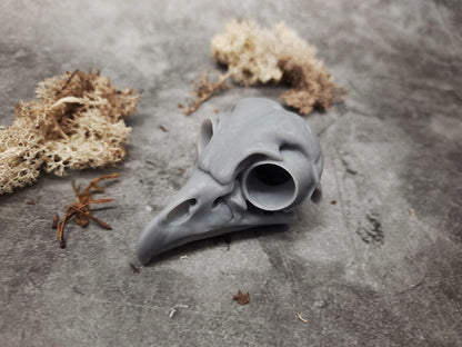 Owl skull replica unpainted