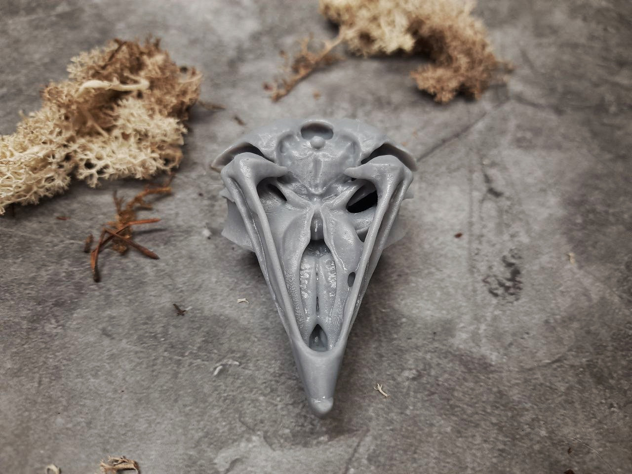 Owl skull replica unpainted