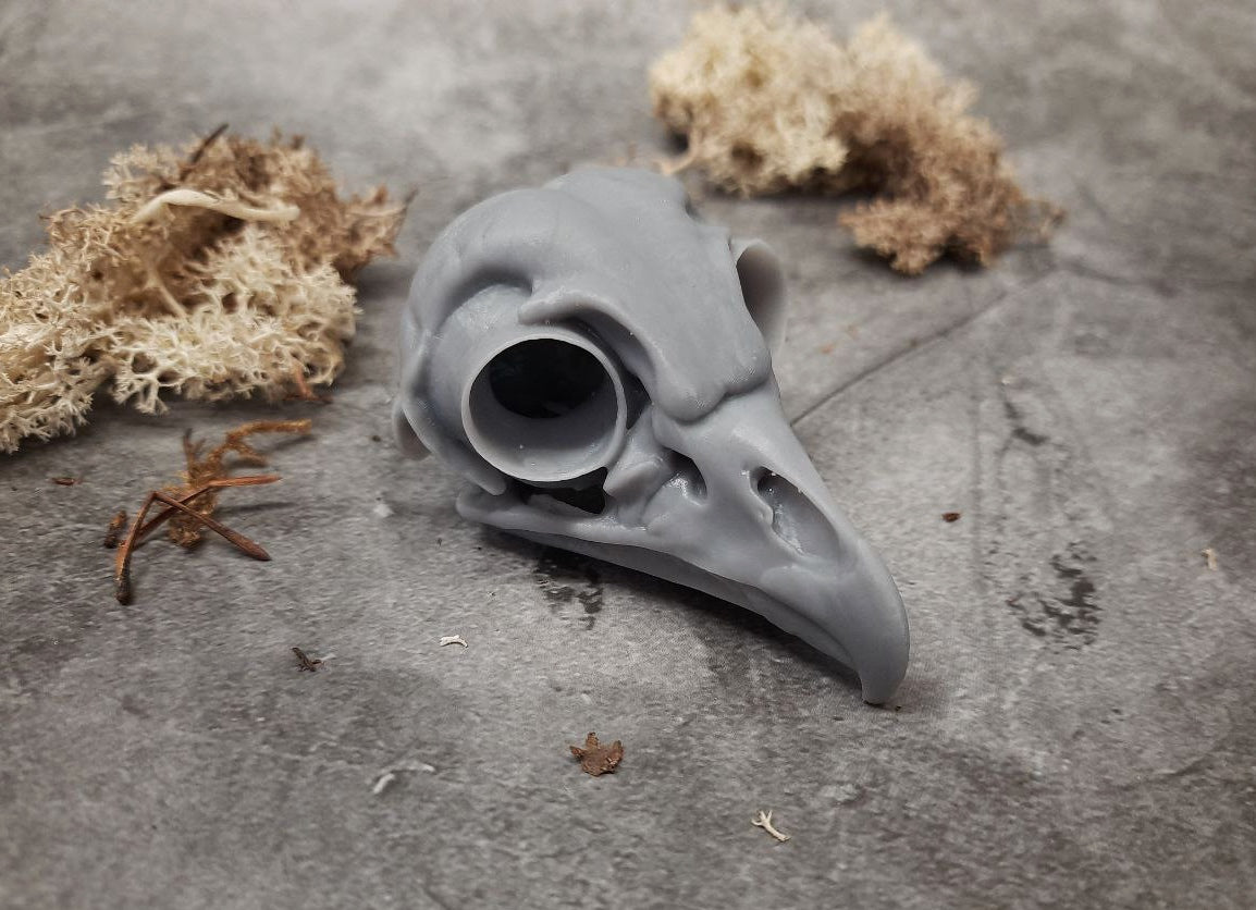 Owl skull replica unpainted