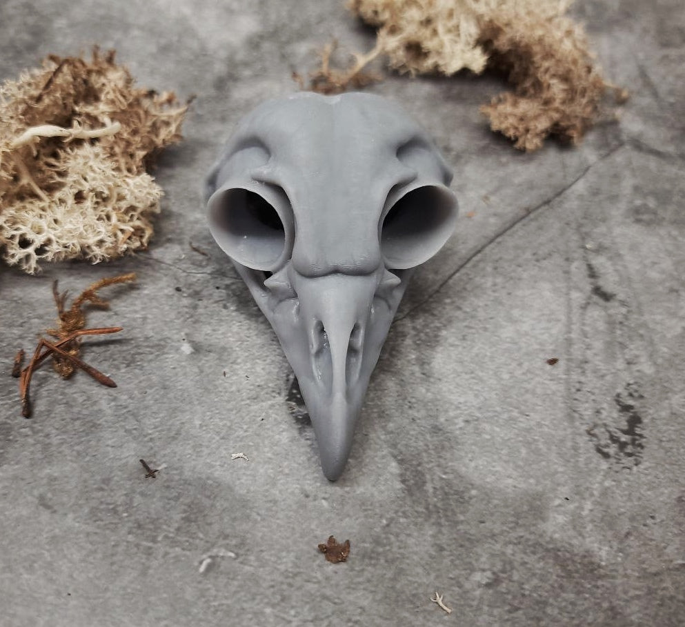 Owl skull replica unpainted