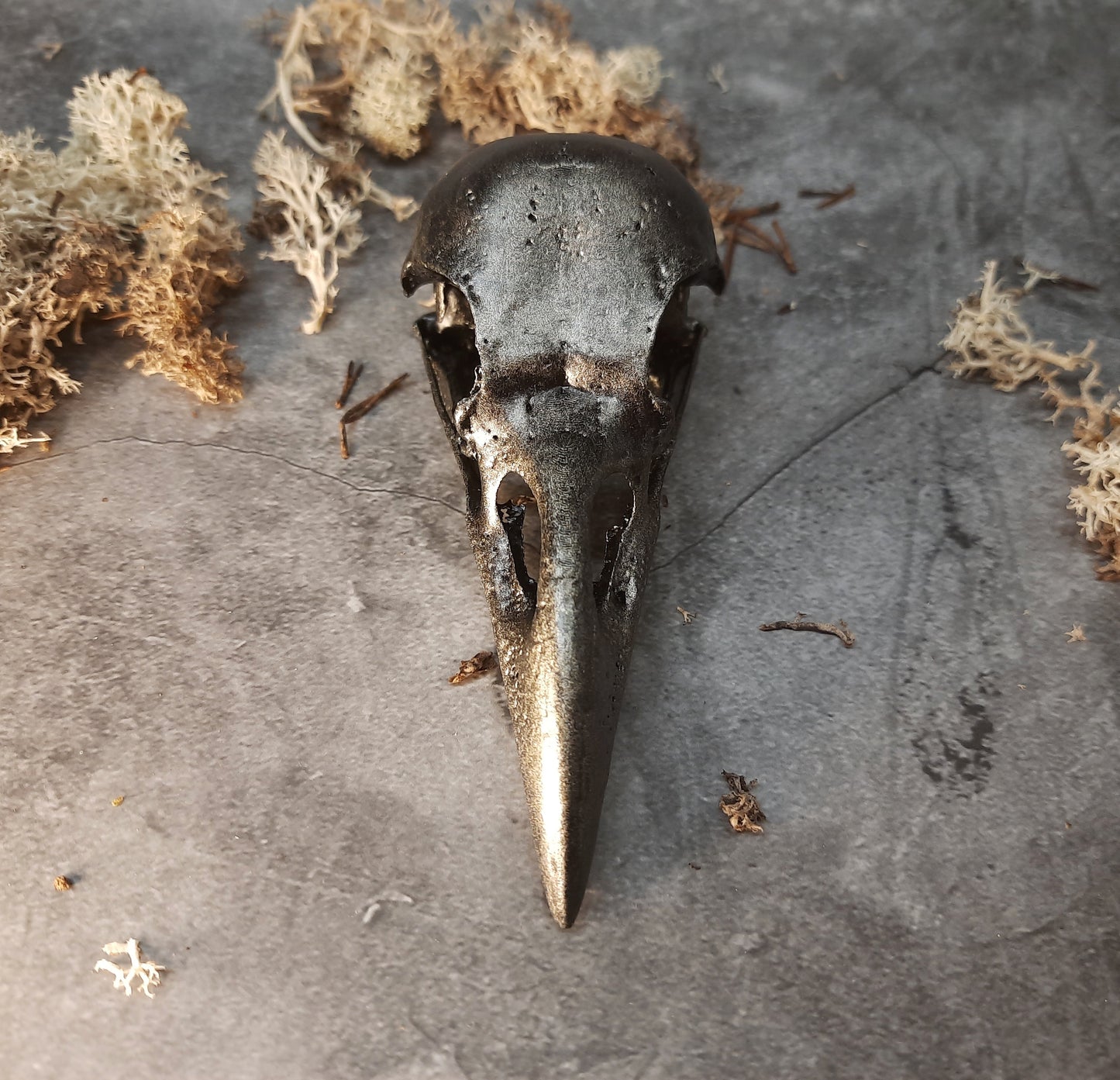 Raven skull replica old silver painting