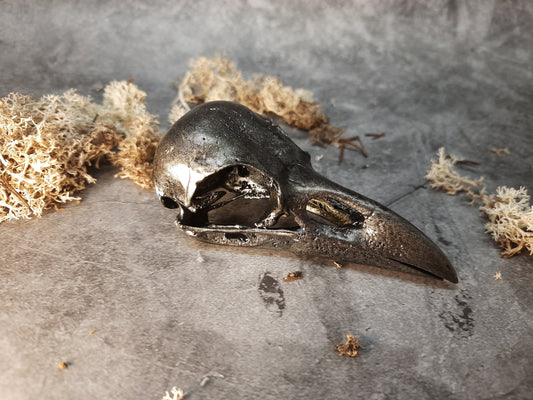 Raven skull replica old silver painting