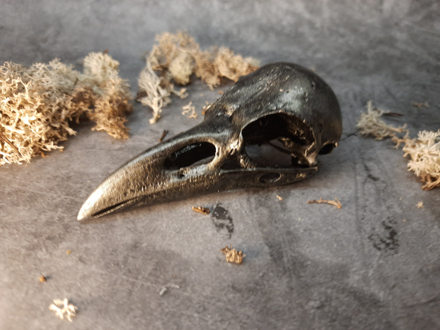 Raven skull replica old silver painting