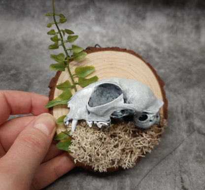 Cat skull replica 3D image