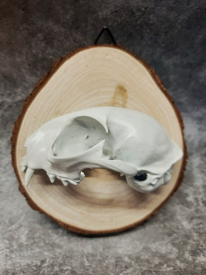 Cat Skull 3D Image