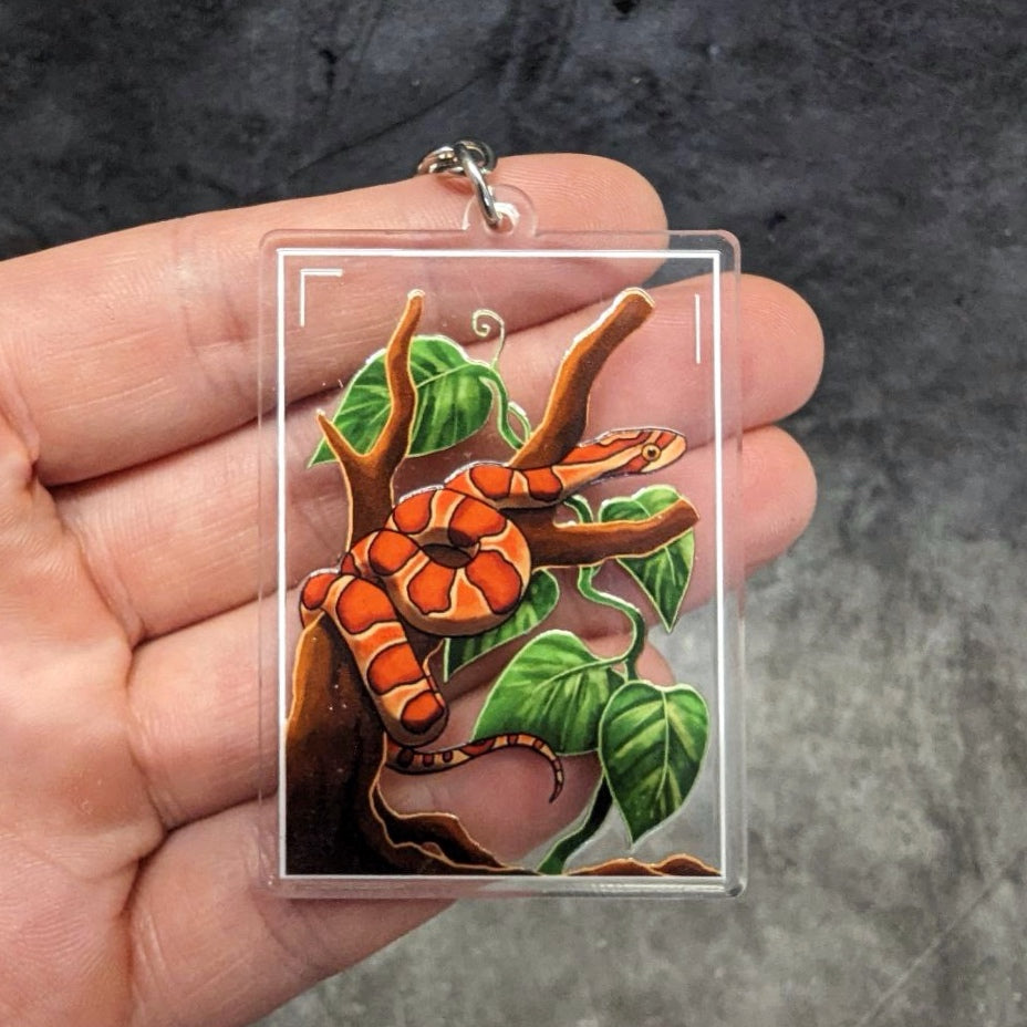 Acrylic keychain terrarium