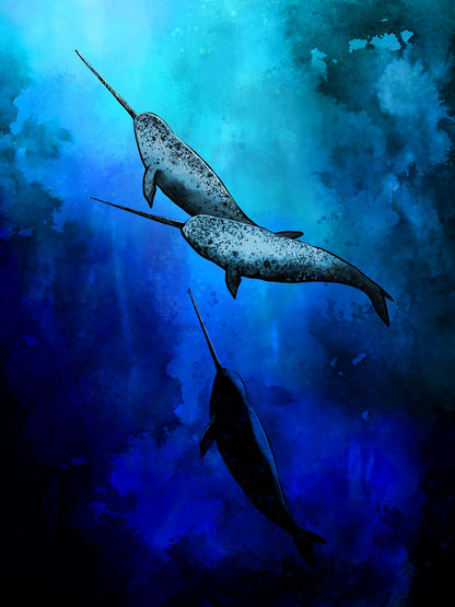 PREORDER: Art print "Narwhals"