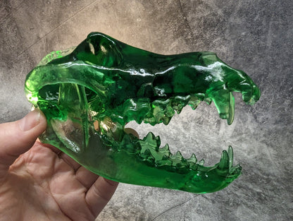 Wolf Skull Replica Transparent Green