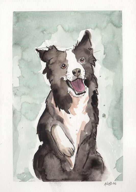 Original Kunstwerk "Border Collie"