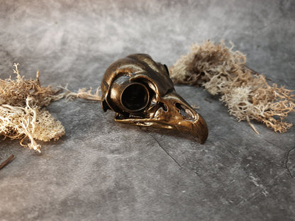 Owl skull replica gold bronze color