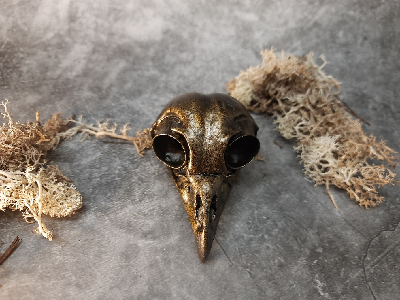 Owl skull replica gold bronze color
