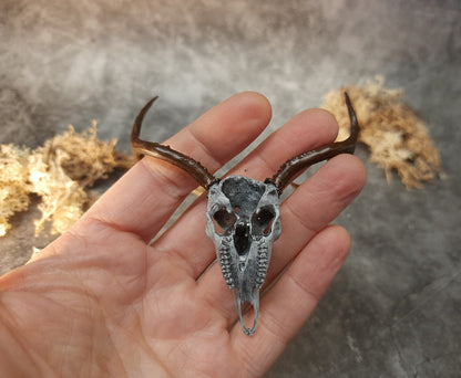 Miniature deer skull