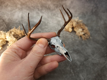 Miniature deer skull