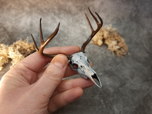 Miniatur Hirsch Schädel