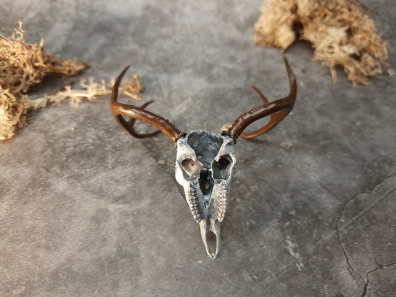 Miniature deer skull