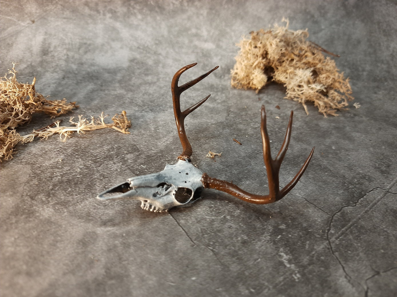 Miniature deer skull