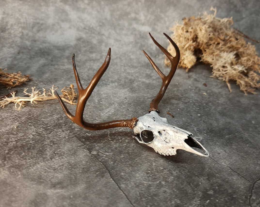 Miniature deer skull