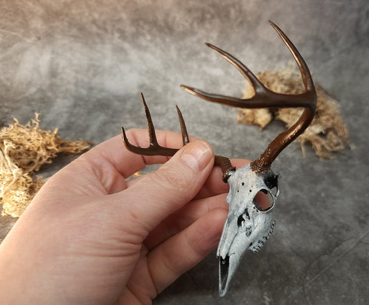 Miniature deer skull