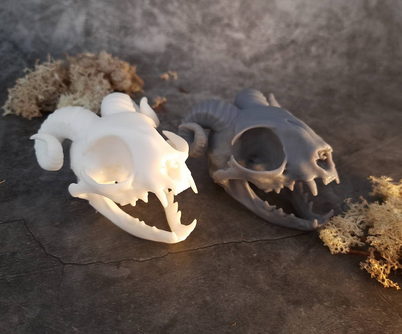Cat Skull Replica Unpainted