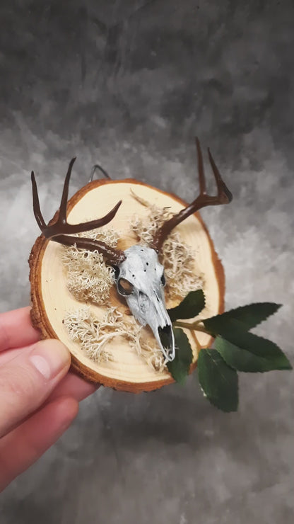 Mini deer skull wall decoration