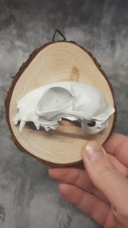 Cat Skull 3D Image