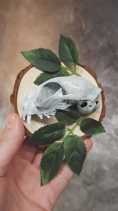 Cat Skull Replica with Leaves 3D Image