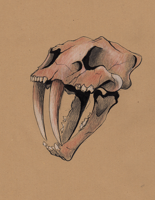 Original artwork "Saber-toothed tiger"