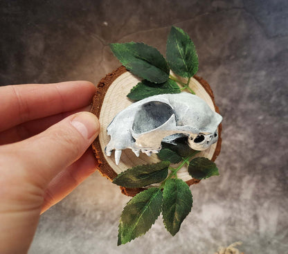 Cat Skull Replica with Leaves 3D Image