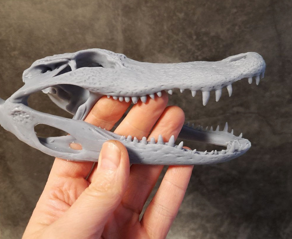 Alligator replica unpainted