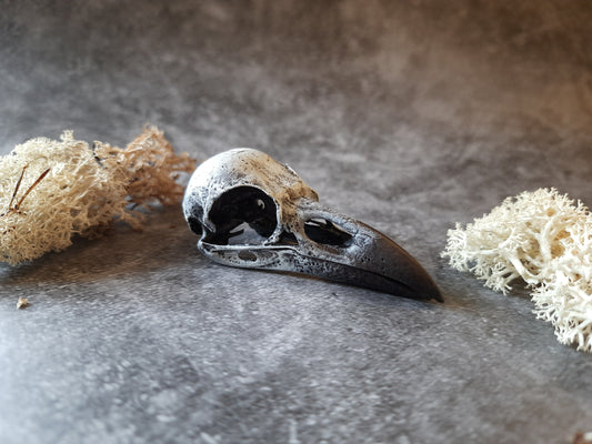 Raven skull replica natural paint