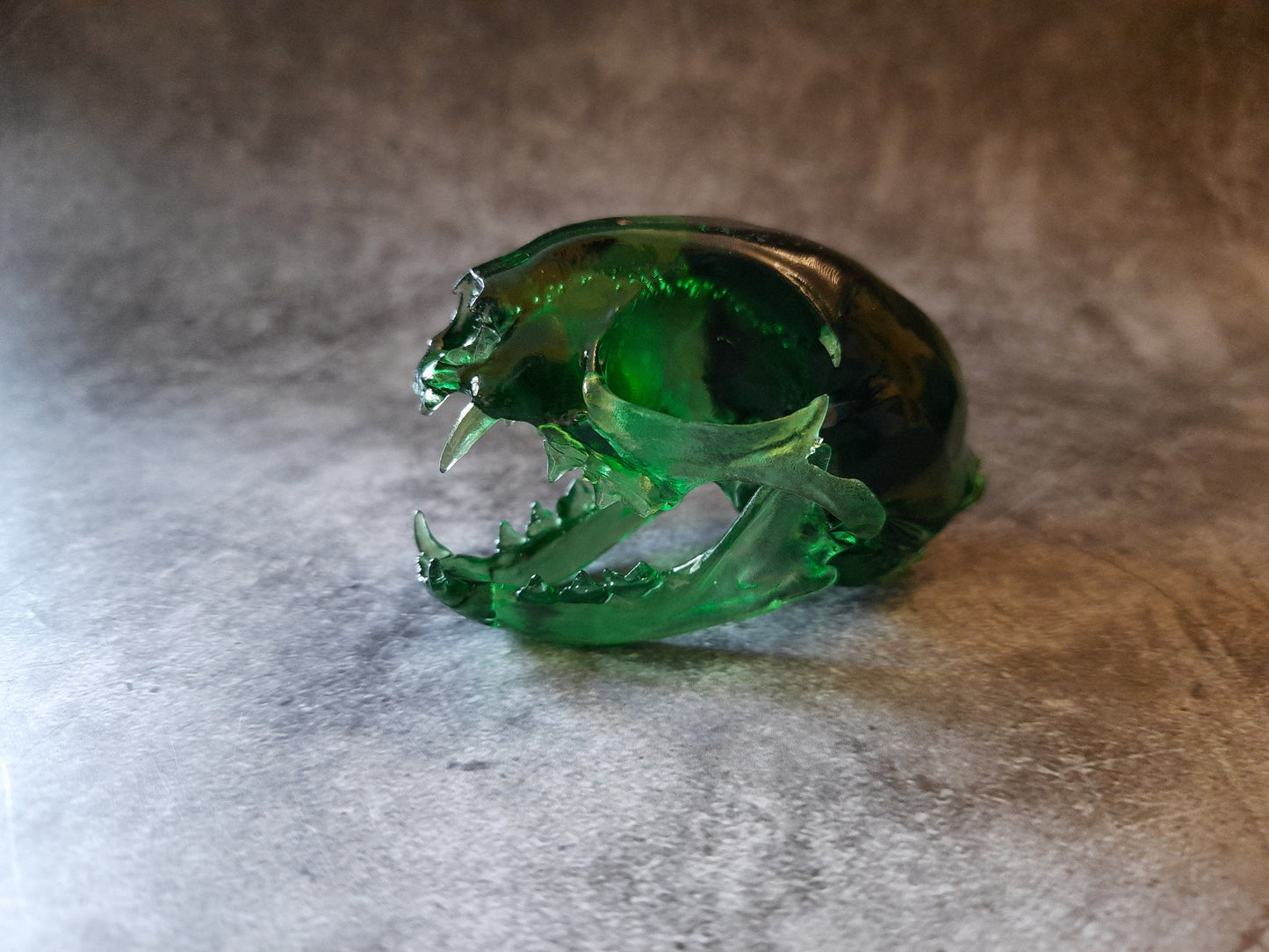Katzenschädel Replik grün transparent