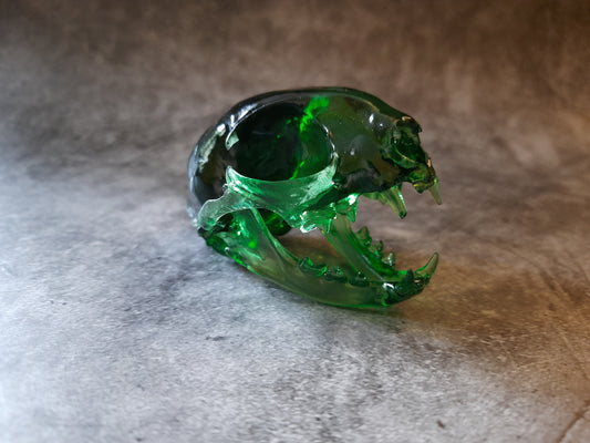 Katzenschädel Replik grün transparent
