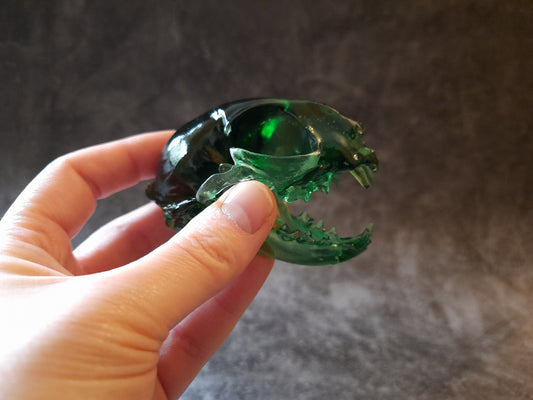 Cat skull replica green transparent