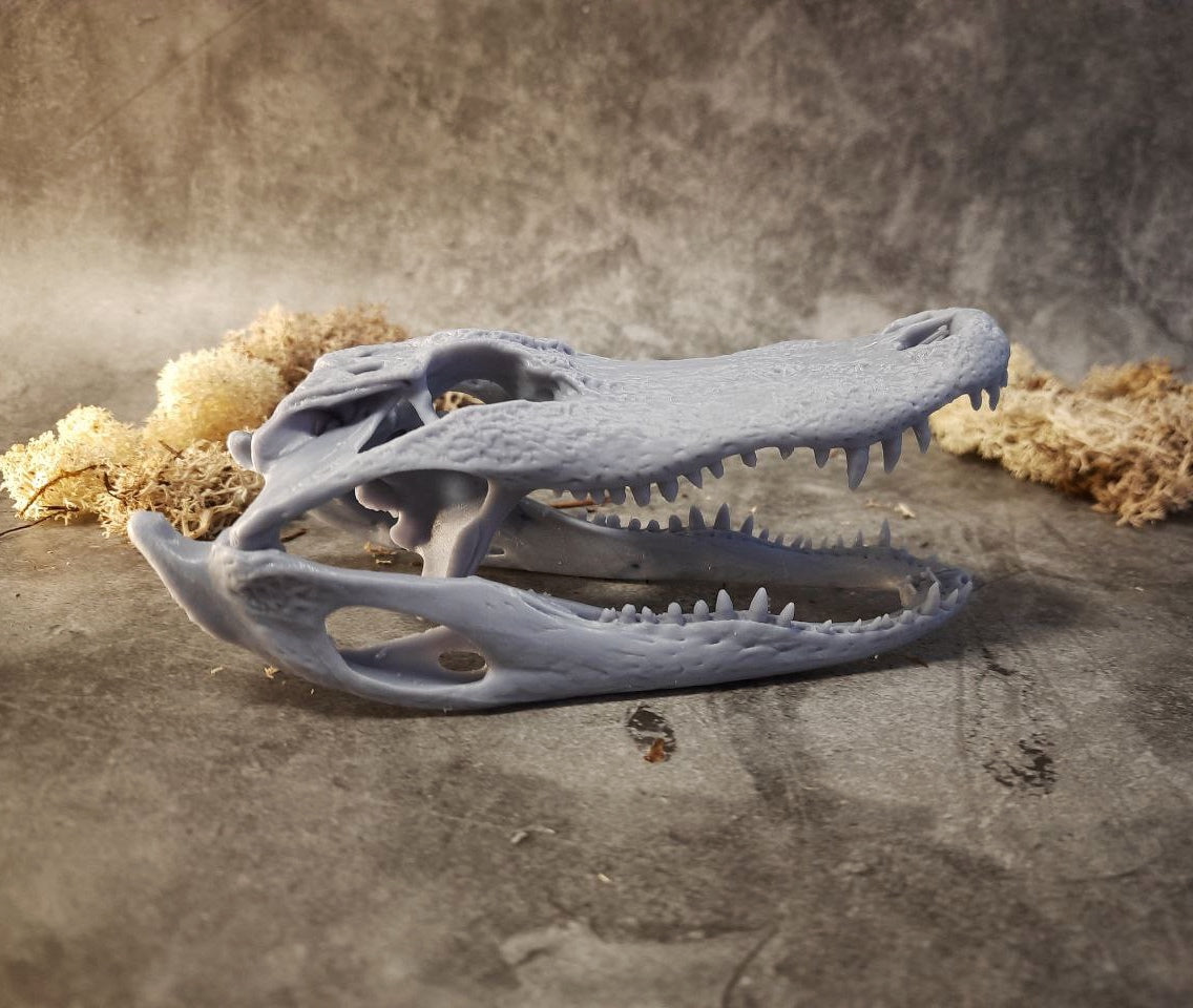 Alligator replica unpainted