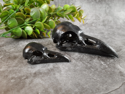 Raven skull replica black