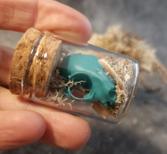 Mini Katzenschädel Türkis im Glas mit Moos und Rinde